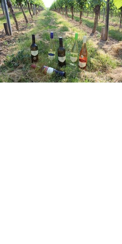 <br>Probiersortiment mild<br>